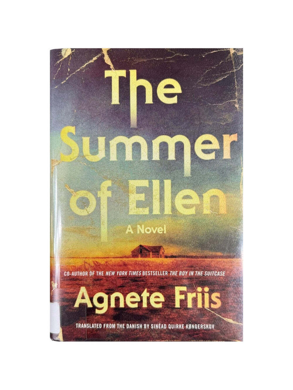 The Summer of Ellen by Agnete Friis (Hardcover)